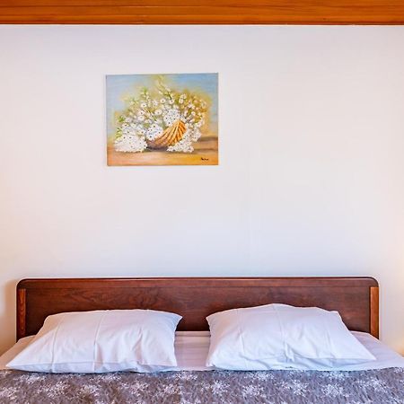 Apartment Sea And Mountain With Pool Novigrad  Εξωτερικό φωτογραφία